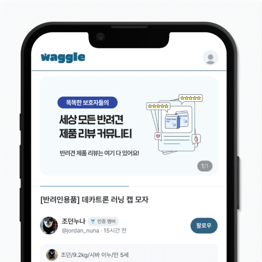 와글 이미지