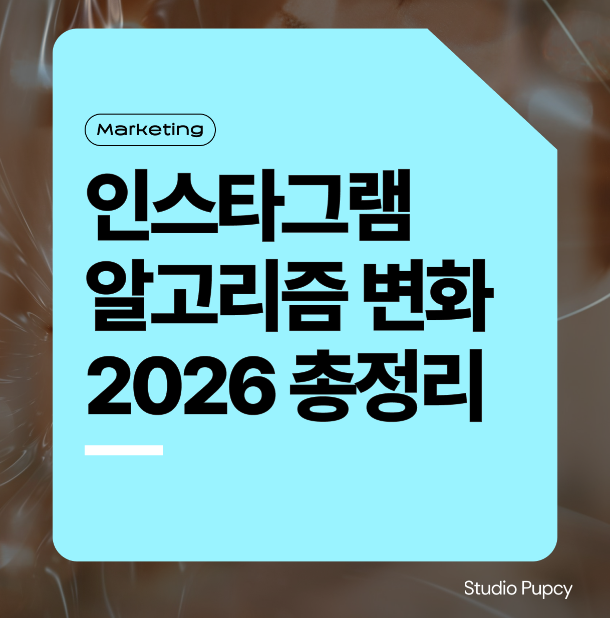 인스타그램 알고리즘 변화 2026 총정리: 도달은 늘었지만 전환이 설명되지 않는 이유